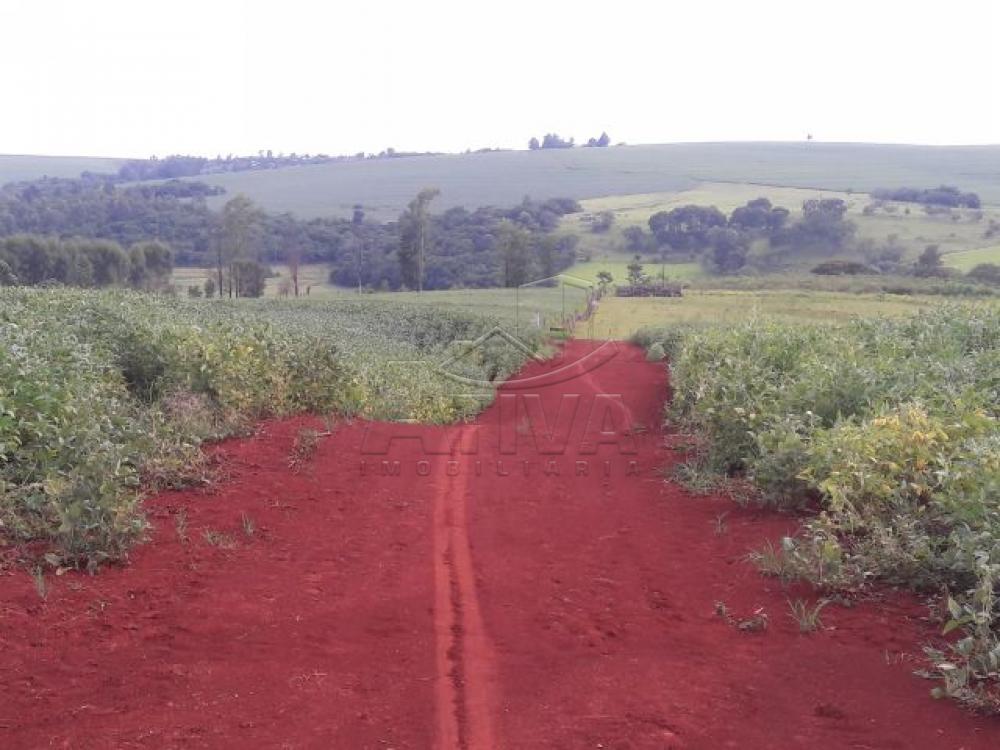 Comprar Terreno / Chácara em Ouro Verde do Oeste apenas R$ 280.000,00 - Foto 3 Comprar Terreno / Chácara em Ouro Verde do Oeste apenas R$ 280.000,00 - Foto 3