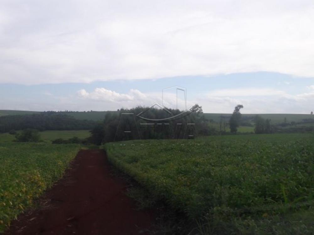 Comprar Terreno / Chácara em Ouro Verde do Oeste apenas R$ 280.000,00 - Foto 4 Comprar Terreno / Chácara em Ouro Verde do Oeste apenas R$ 280.000,00 - Foto 4