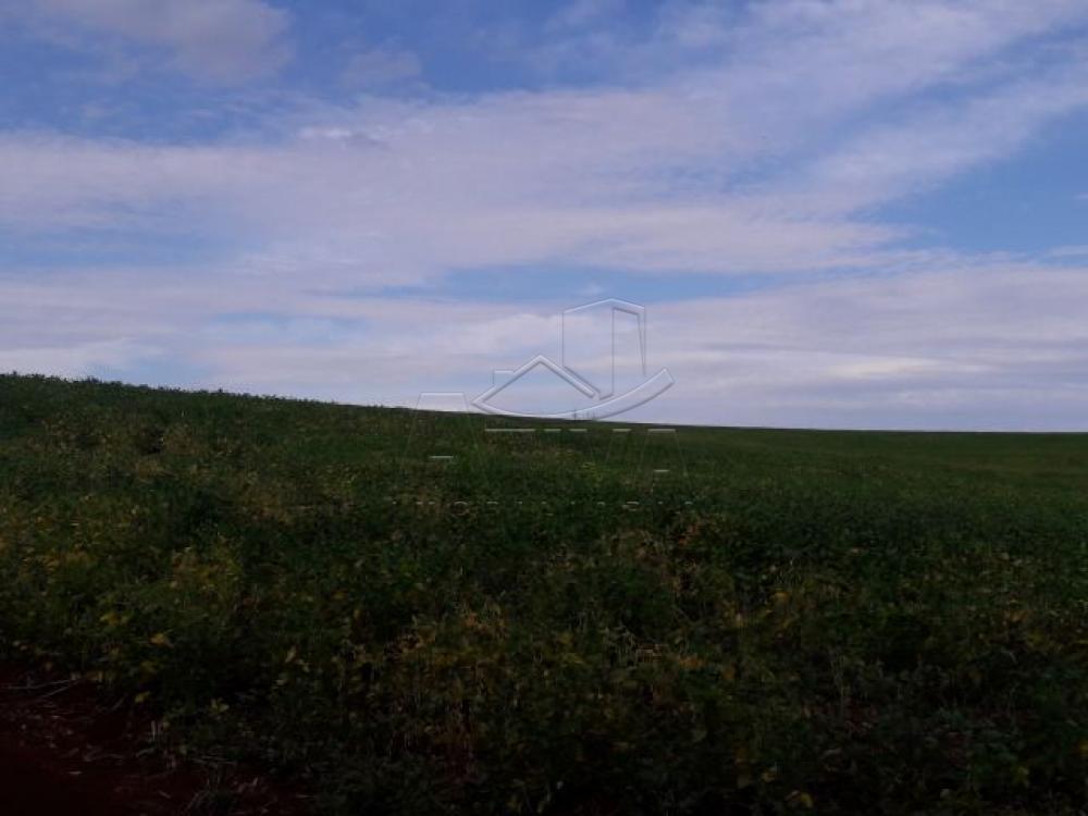 Comprar Terreno / Chácara em Ouro Verde do Oeste apenas R$ 280.000,00 - Foto 5 Comprar Terreno / Chácara em Ouro Verde do Oeste apenas R$ 280.000,00 - Foto 5