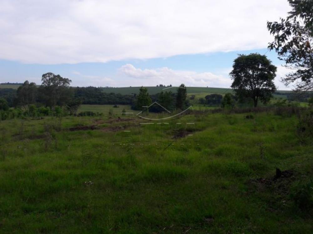 Comprar Terreno / Chácara em Ouro Verde do Oeste apenas R$ 280.000,00 - Foto 6 Comprar Terreno / Chácara em Ouro Verde do Oeste apenas R$ 280.000,00 - Foto 6