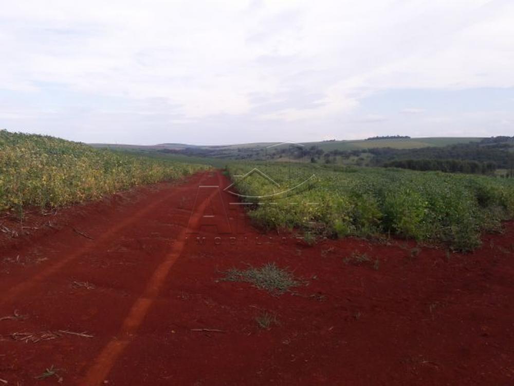Comprar Terreno / Chácara em Ouro Verde do Oeste apenas R$ 280.000,00 - Foto 7 Comprar Terreno / Chácara em Ouro Verde do Oeste apenas R$ 280.000,00 - Foto 7