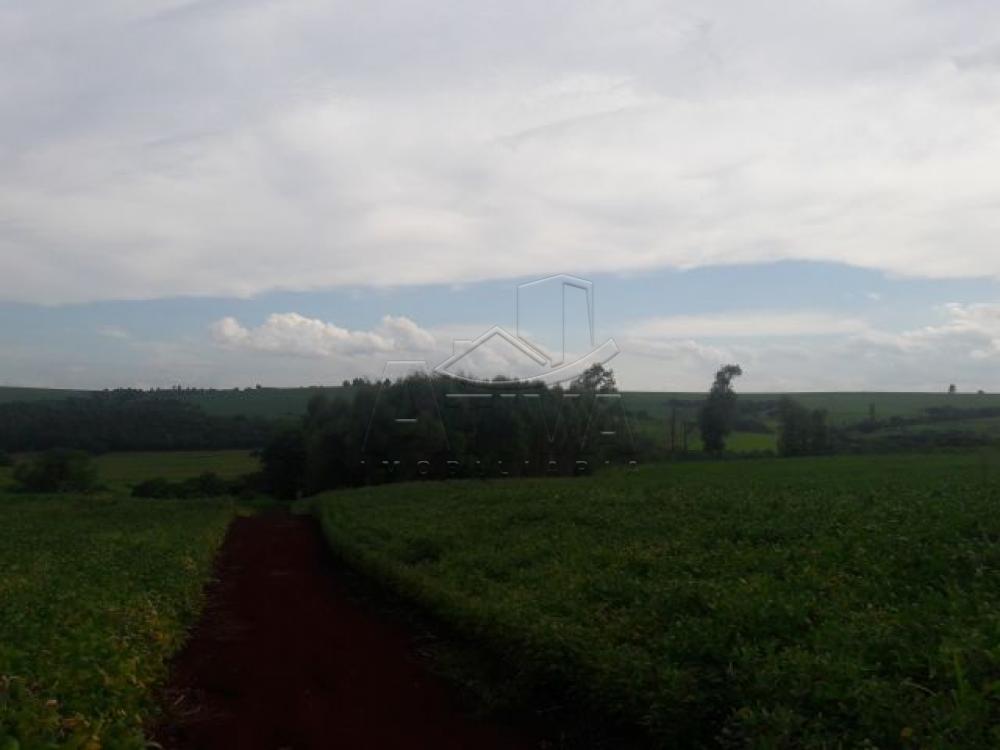 Comprar Terreno / Chácara em Ouro Verde do Oeste apenas R$ 280.000,00 - Foto 11 Comprar Terreno / Chácara em Ouro Verde do Oeste apenas R$ 280.000,00 - Foto 11