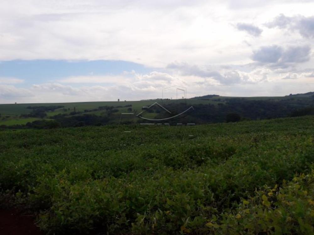 Comprar Terreno / Chácara em Ouro Verde do Oeste apenas R$ 280.000,00 - Foto 8 Comprar Terreno / Chácara em Ouro Verde do Oeste apenas R$ 280.000,00 - Foto 8
