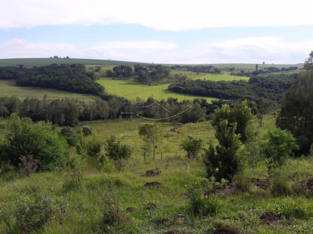 Comprar Terreno / Chácara em Ouro Verde do Oeste apenas R$ 280.000,00 - Foto 9 Comprar Terreno / Chácara em Ouro Verde do Oeste apenas R$ 280.000,00 - Foto 9