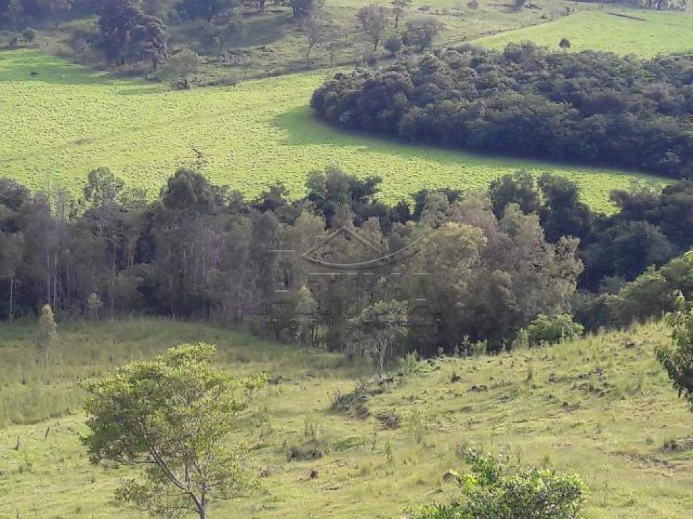 Comprar Terreno / Chácara em Ouro Verde do Oeste apenas R$ 280.000,00 - Foto 10 Comprar Terreno / Chácara em Ouro Verde do Oeste apenas R$ 280.000,00 - Foto 10