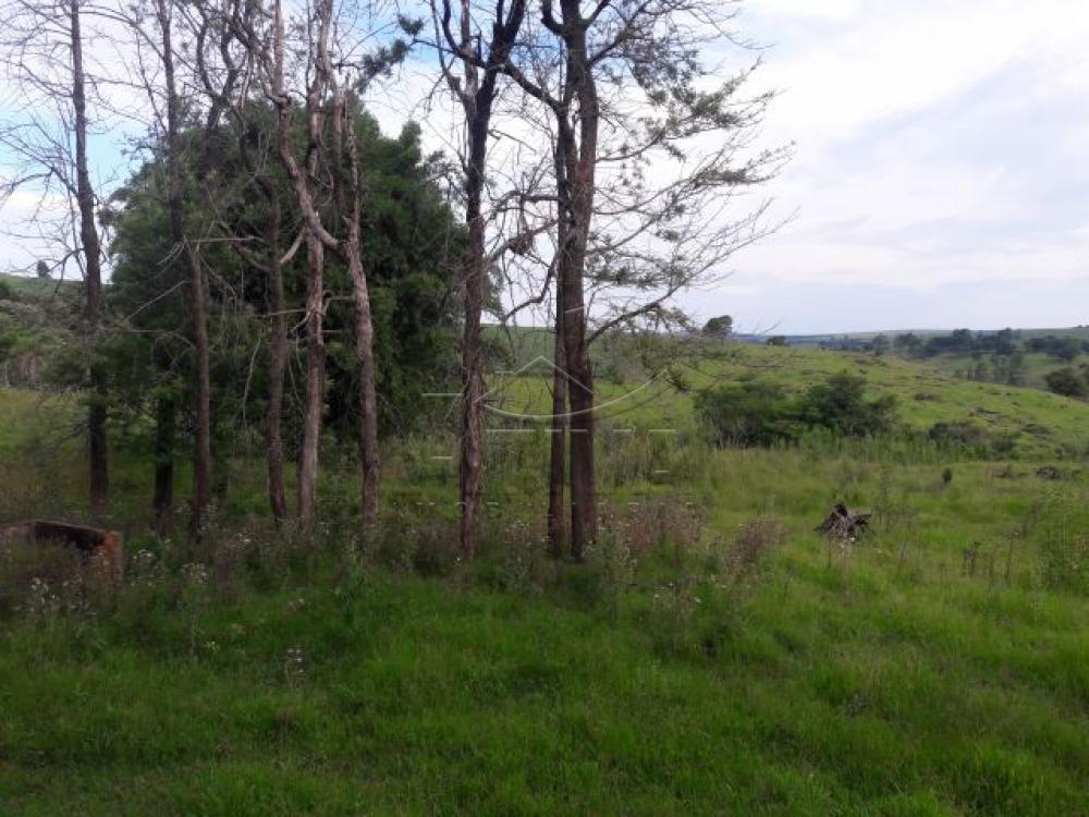 Comprar Terreno / Chácara em Ouro Verde do Oeste apenas R$ 280.000,00 - Foto 12 Comprar Terreno / Chácara em Ouro Verde do Oeste apenas R$ 280.000,00 - Foto 12