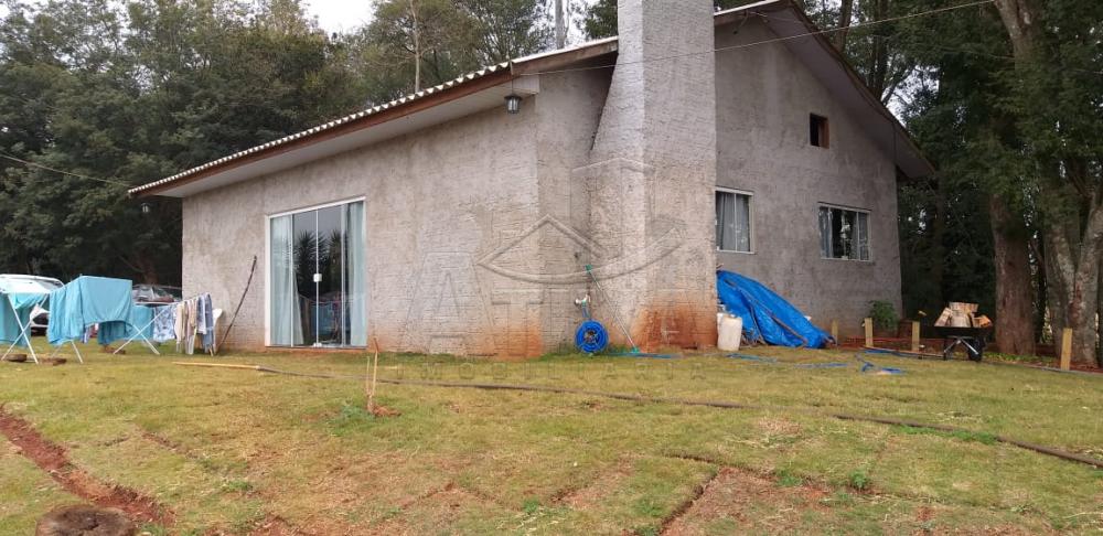 Comprar Rural / Chácara sem Casa em Toledo apenas R$ 750.000,00 - Foto 8 Comprar Rural / Chácara sem Casa em Toledo apenas R$ 750.000,00 - Foto 8