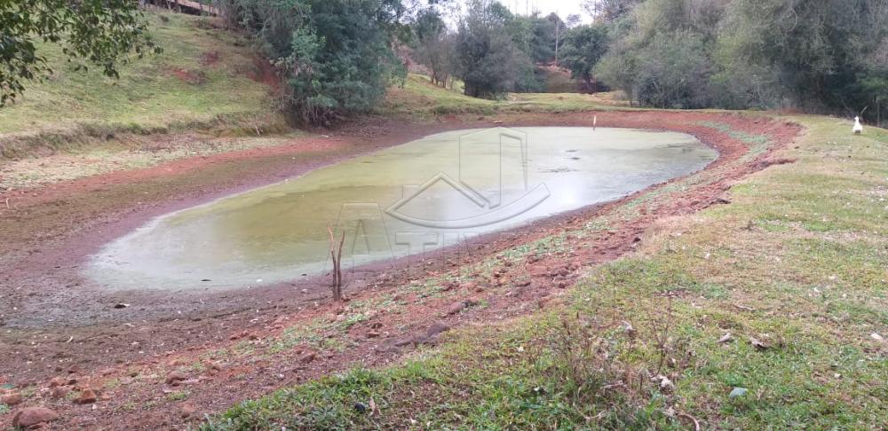 Comprar Rural / Chácara sem Casa em Toledo apenas R$ 750.000,00 - Foto 18 Comprar Rural / Chácara sem Casa em Toledo apenas R$ 750.000,00 - Foto 18