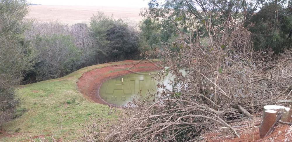 Comprar Rural / Chácara sem Casa em Toledo apenas R$ 750.000,00 - Foto 19 Comprar Rural / Chácara sem Casa em Toledo apenas R$ 750.000,00 - Foto 19