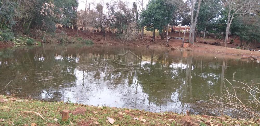 Comprar Rural / Chácara sem Casa em Toledo apenas R$ 750.000,00 - Foto 22 Comprar Rural / Chácara sem Casa em Toledo apenas R$ 750.000,00 - Foto 22