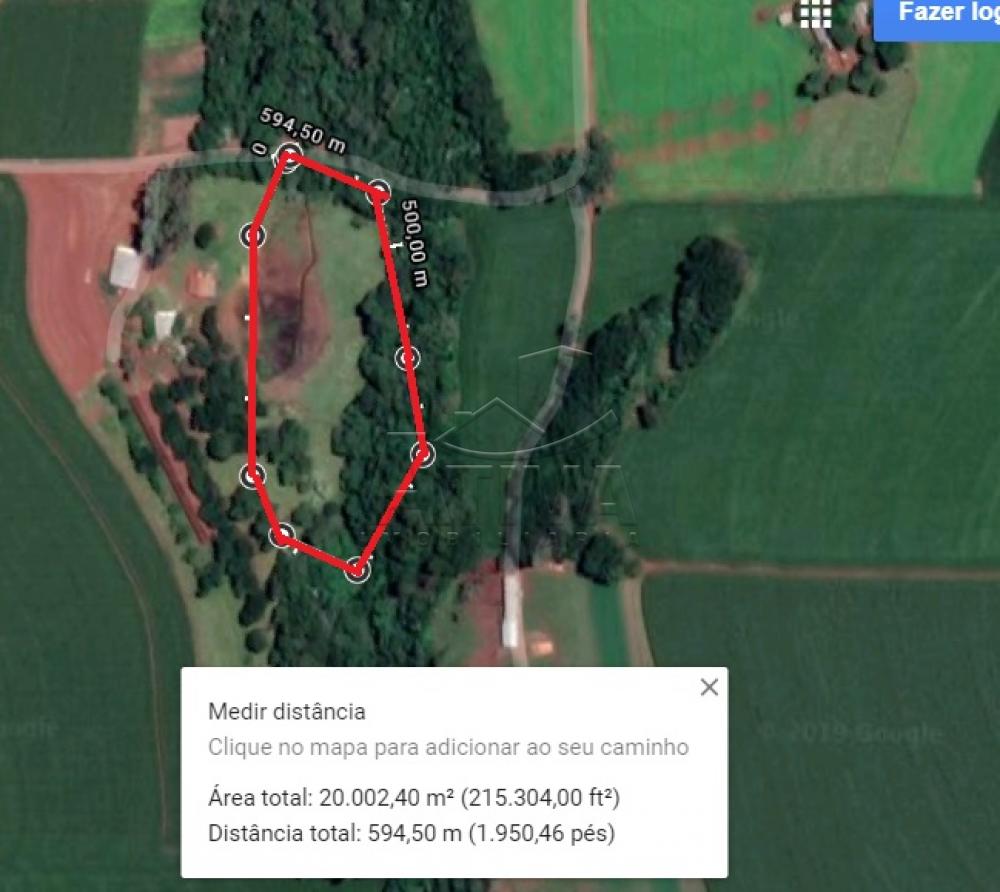 Comprar Rural / Chácara sem Casa em Toledo apenas R$ 750.000,00 - Foto 1 Comprar Rural / Chácara sem Casa em Toledo apenas R$ 750.000,00 - Foto 1