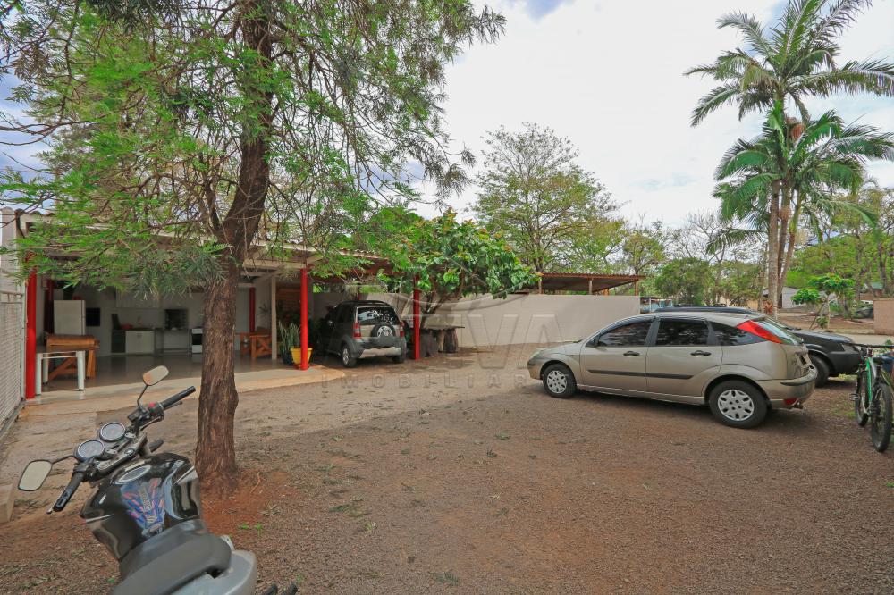 Alugar Apartamento / Padrão em Toledo apenas R$ 750,00 - Foto 15 Alugar Apartamento / Padrão em Toledo apenas R$ 750,00 - Foto 15