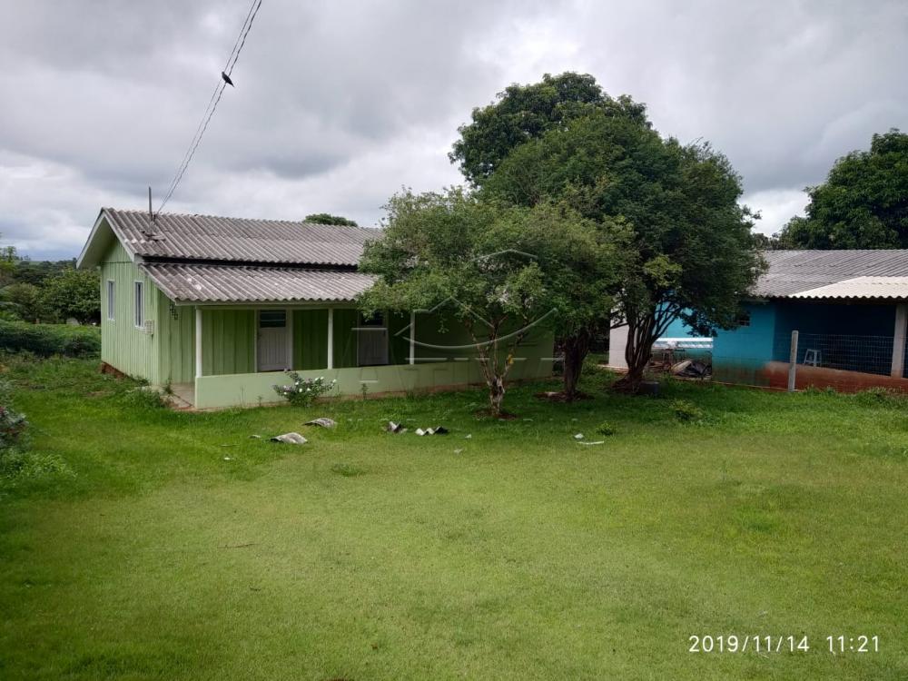 Comprar Terreno / Lote em São Pedro do Iguaçu apenas R$ 130.000,00 - Foto 5 Comprar Terreno / Lote em São Pedro do Iguaçu apenas R$ 130.000,00 - Foto 5