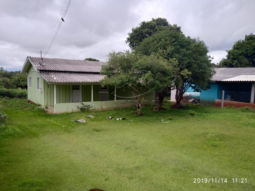 Comprar Terreno / Lote em São Pedro do Iguaçu apenas R$ 130.000,00 - Foto 6 Comprar Terreno / Lote em São Pedro do Iguaçu apenas R$ 130.000,00 - Foto 6