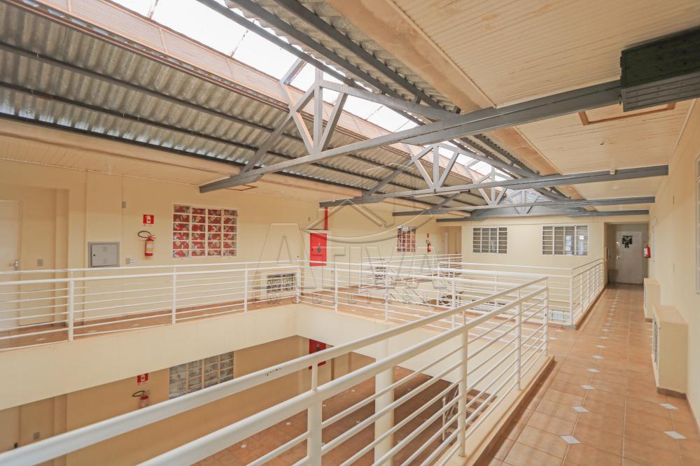 Alugar Apartamento / Padrão em Toledo apenas R$ 550,00 - Foto 4 Alugar Apartamento / Padrão em Toledo apenas R$ 550,00 - Foto 4