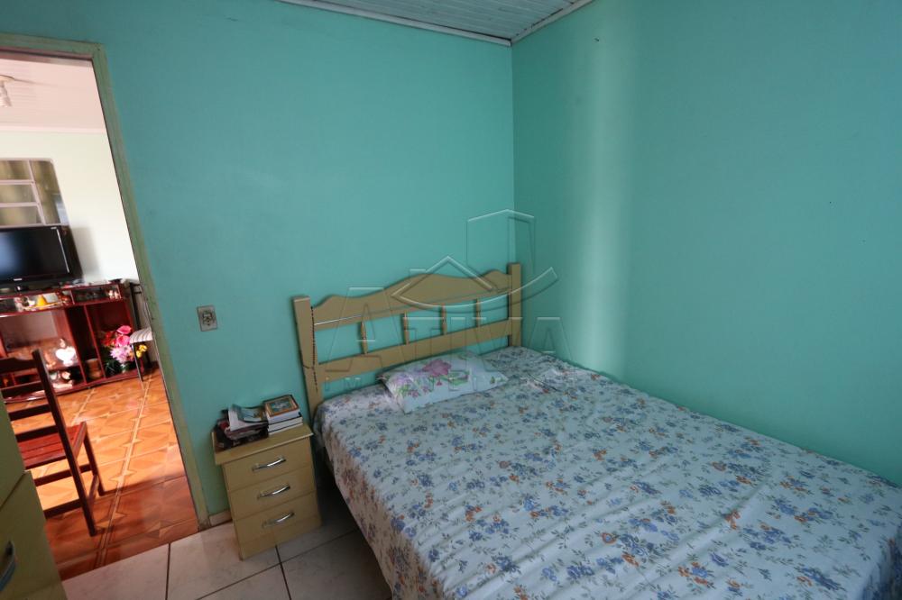 Comprar Casa / Padrão em Toledo apenas R$ 250.000,00 - Foto 22 Comprar Casa / Padrão em Toledo apenas R$ 250.000,00 - Foto 22