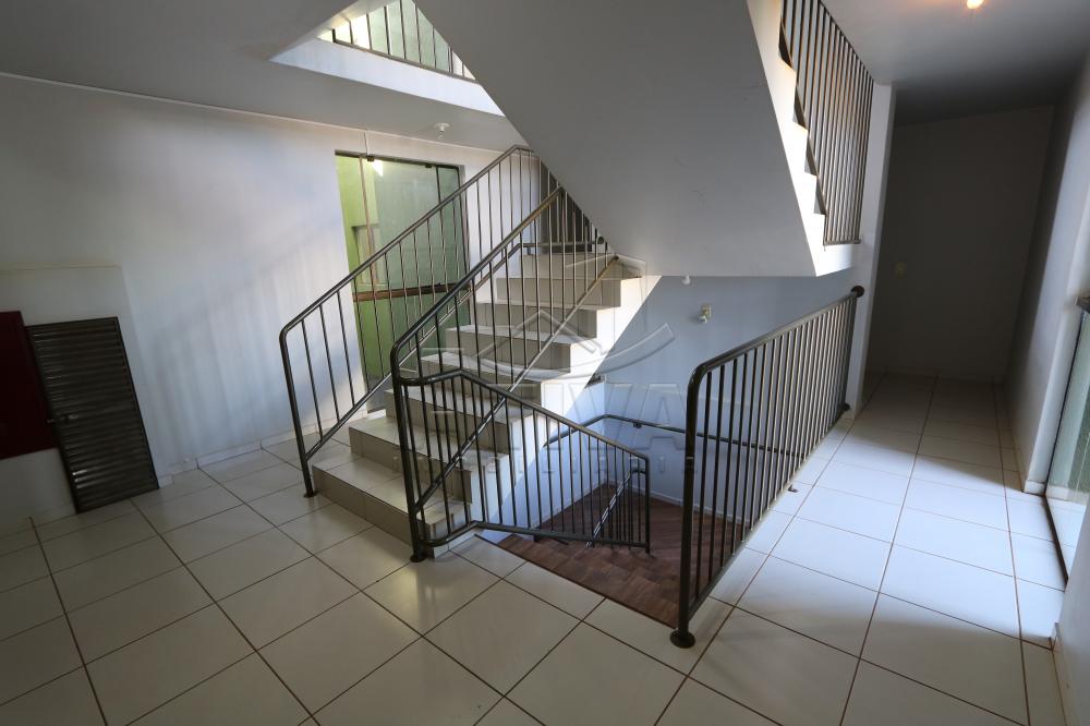 Alugar Apartamento / Padrão em Toledo R$ 990,00 - Foto 10 Alugar Apartamento / Padrão em Toledo R$ 990,00 - Foto 10