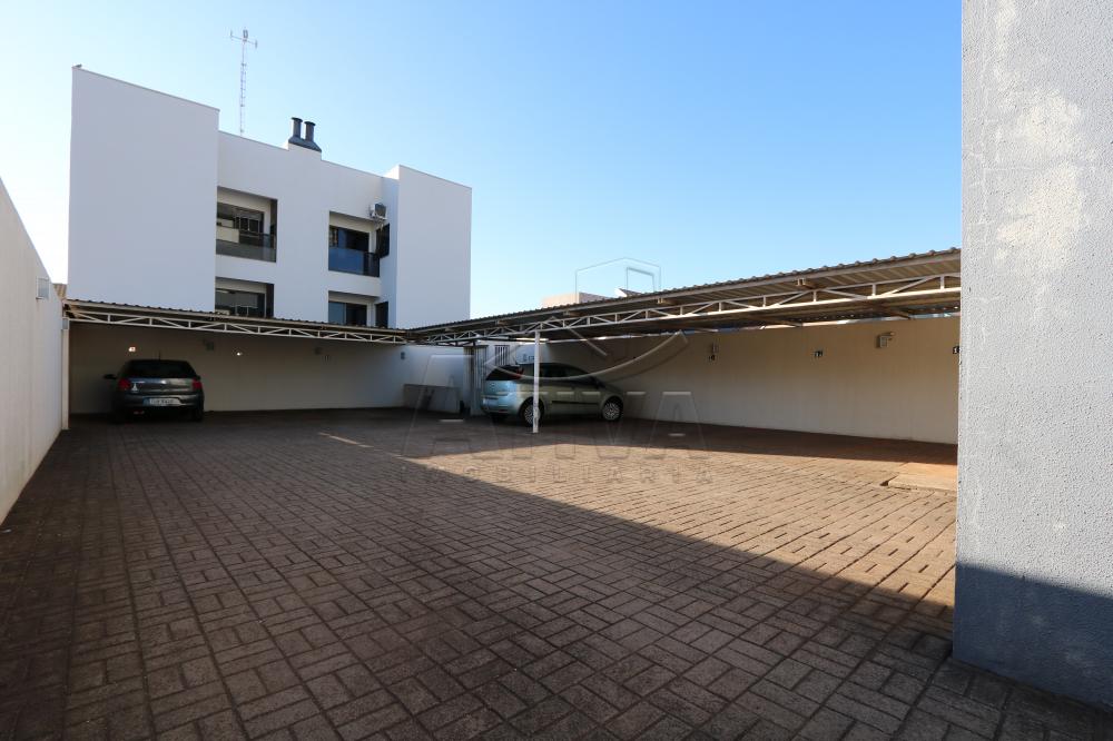 Alugar Apartamento / Padrão em Toledo apenas R$ 750,00 - Foto 11 Alugar Apartamento / Padrão em Toledo apenas R$ 750,00 - Foto 11