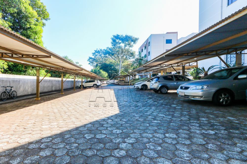 Alugar Apartamento / Padrão em Toledo R$ 700,00 - Foto 3 Alugar Apartamento / Padrão em Toledo R$ 700,00 - Foto 3