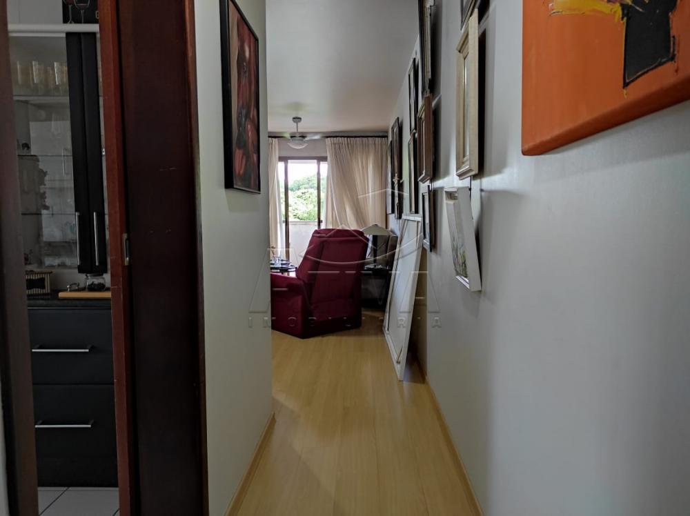 Comprar Apartamento / Padrão em Toledo apenas R$ 320.000,00 - Foto 1 Comprar Apartamento / Padrão em Toledo apenas R$ 320.000,00 - Foto 1