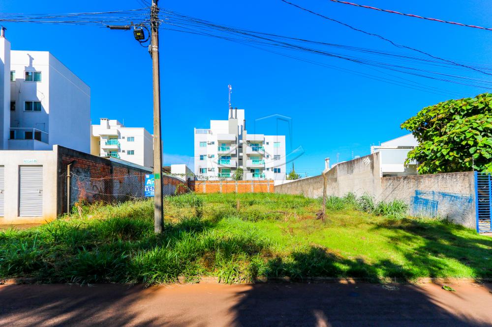 Comprar Terreno / Lote em Toledo R$ 450.000,00 - Foto 1 Comprar Terreno / Lote em Toledo R$ 450.000,00 - Foto 1