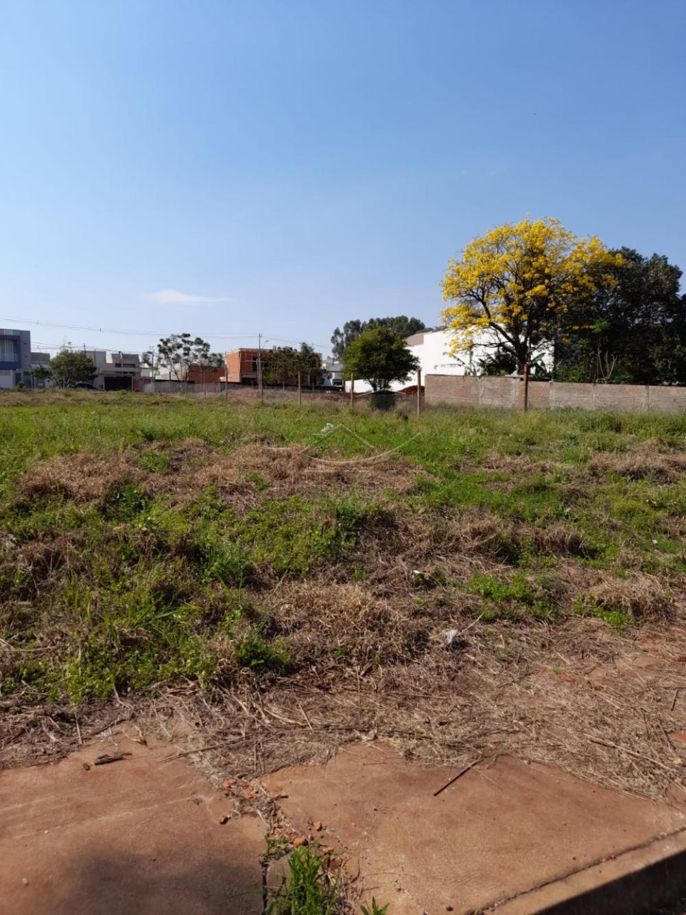 Comprar Terreno / Lote em Toledo R$ 372.000,00 - Foto 1 Comprar Terreno / Lote em Toledo R$ 372.000,00 - Foto 1
