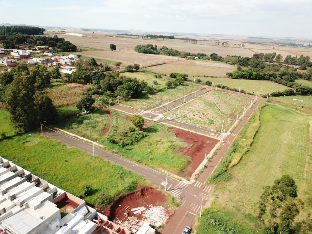 Comprar Terreno / Lote em Toledo R$ 112.000,00 - Foto 2 Comprar Terreno / Lote em Toledo R$ 112.000,00 - Foto 2