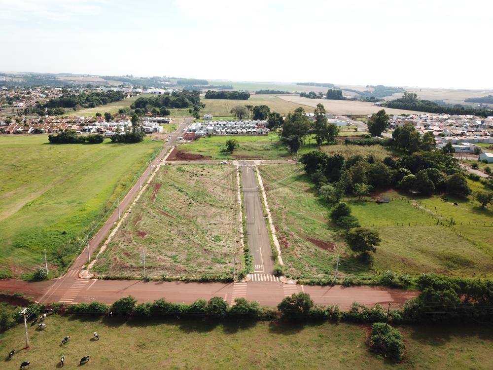 Comprar Terreno / Lote em Toledo R$ 112.000,00 - Foto 5 Comprar Terreno / Lote em Toledo R$ 112.000,00 - Foto 5