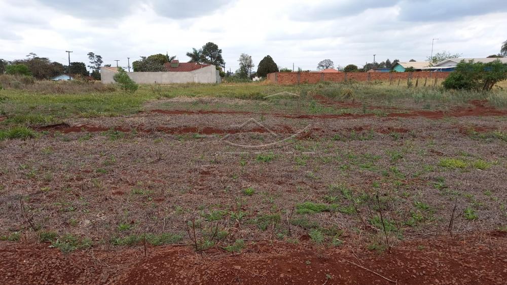 Comprar Terreno / Lote em Toledo R$ 250.000,00 - Foto 1 Comprar Terreno / Lote em Toledo R$ 250.000,00 - Foto 1