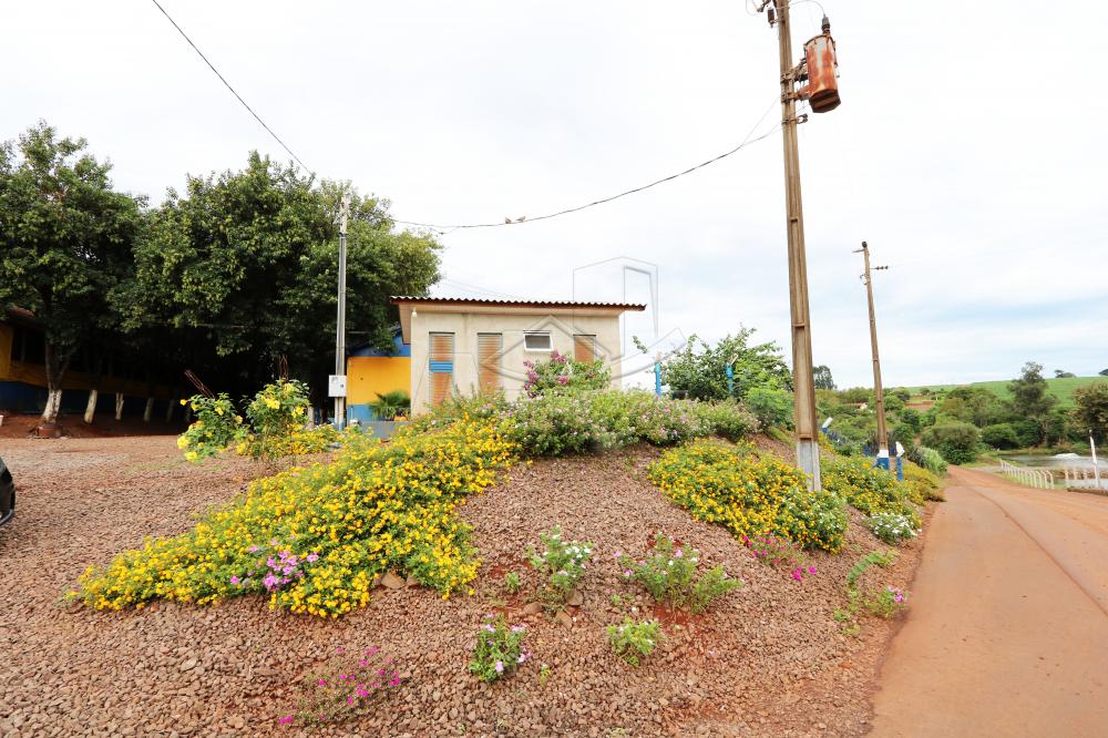 Comprar Rural / Chácara sem Casa em Toledo R$ 2.100.000,00 - Foto 1 Comprar Rural / Chácara sem Casa em Toledo R$ 2.100.000,00 - Foto 1