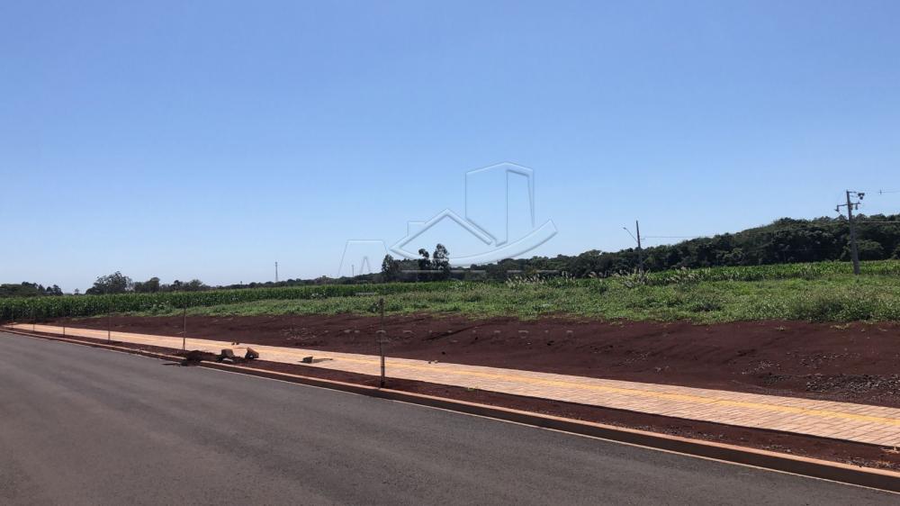 Comprar Terreno / Lote em Toledo R$ 245.000,00 - Foto 1 Comprar Terreno / Lote em Toledo R$ 245.000,00 - Foto 1