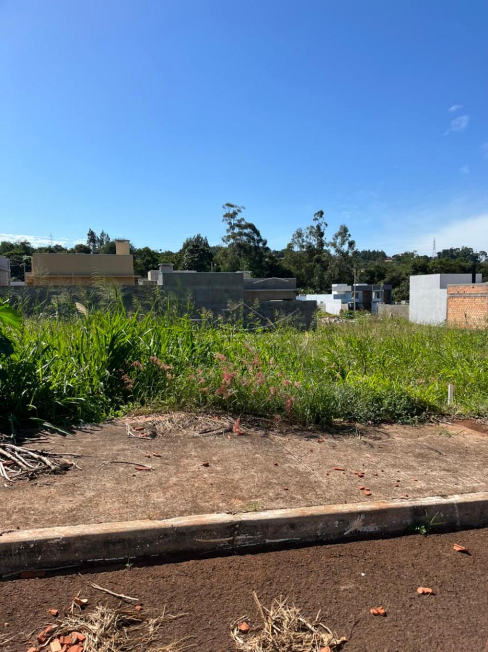 Comprar Terreno / Lote em Toledo R$ 185.000,00 - Foto 1 Comprar Terreno / Lote em Toledo R$ 185.000,00 - Foto 1