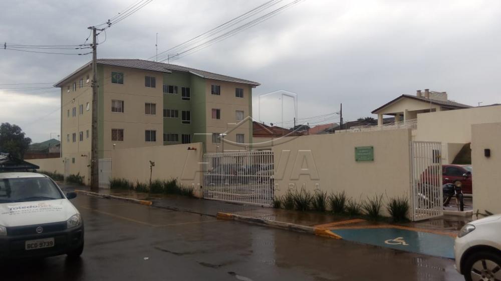 Alugar Apartamento / Padrão em Toledo apenas R$ 650,00 - Foto 10 Alugar Apartamento / Padrão em Toledo apenas R$ 650,00 - Foto 10