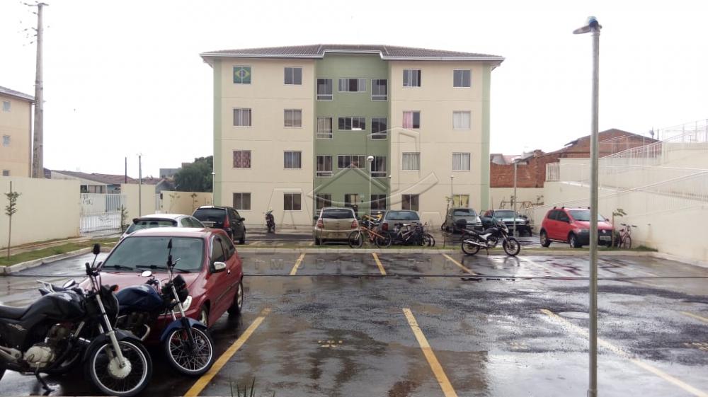 Alugar Apartamento / Padrão em Toledo apenas R$ 650,00 - Foto 13 Alugar Apartamento / Padrão em Toledo apenas R$ 650,00 - Foto 13