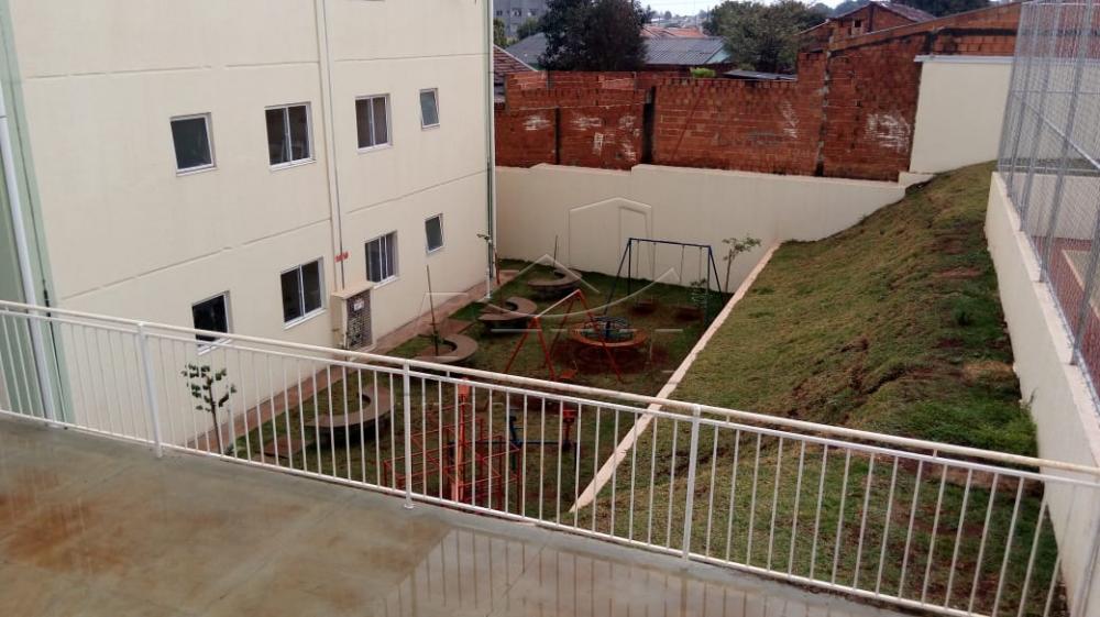 Alugar Apartamento / Padrão em Toledo apenas R$ 650,00 - Foto 14 Alugar Apartamento / Padrão em Toledo apenas R$ 650,00 - Foto 14