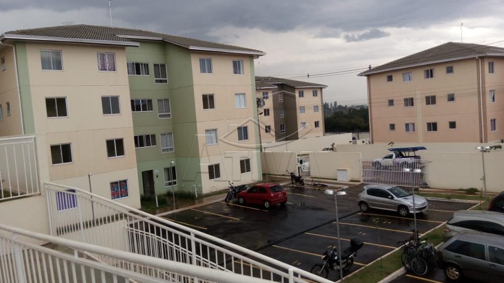 Alugar Apartamento / Padrão em Toledo apenas R$ 650,00 - Foto 15 Alugar Apartamento / Padrão em Toledo apenas R$ 650,00 - Foto 15