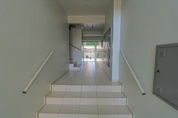 imagem 3 - Apartamento - Padrão imagem 3 - Apartamento - Padrão