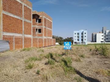 imagem 2 - Terreno - Lote Urbano imagem 2 - Terreno - Lote Urbano