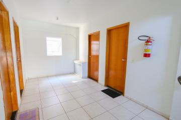 Alugar Apartamento / Padrão em Toledo R$ 750,00 - Foto 8 Alugar Apartamento / Padrão em Toledo R$ 750,00 - Foto 8
