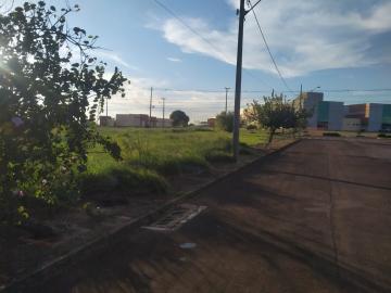 imagem 1 - Terreno - Lote Urbano imagem 1 - Terreno - Lote Urbano