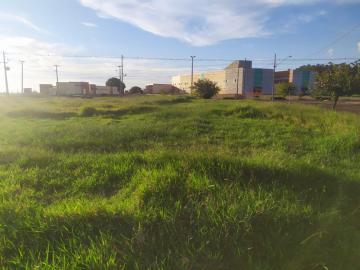 imagem 4 - Terreno - Lote Urbano imagem 4 - Terreno - Lote Urbano
