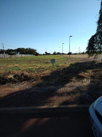 imagem 5 - Terreno - Lote Urbano imagem 5 - Terreno - Lote Urbano
