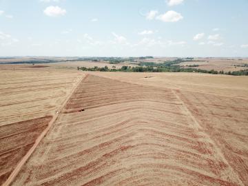imagem 5 - Rural - Chácara sem Casa imagem 5 - Rural - Chácara sem Casa