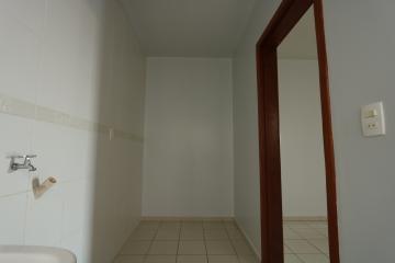Alugar Apartamento / Padrão em Toledo R$ 1.000,00 - Foto 11 Alugar Apartamento / Padrão em Toledo R$ 1.000,00 - Foto 11