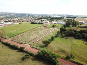 Comprar Terreno / Lote em Toledo R$ 112.000,00 - Foto 6 Comprar Terreno / Lote em Toledo R$ 112.000,00 - Foto 6