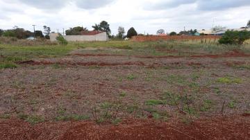 Comprar Terreno / Lote em Toledo R$ 250.000,00 - Foto 1 Comprar Terreno / Lote em Toledo R$ 250.000,00 - Foto 1