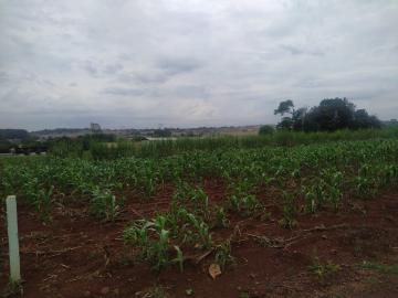 imagem 3 - Terreno - Lote Urbano imagem 3 - Terreno - Lote Urbano