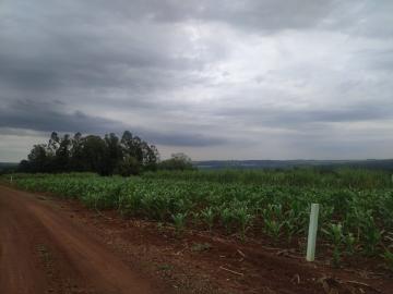 imagem 2 - Terreno - Lote Urbano imagem 2 - Terreno - Lote Urbano