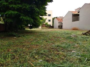 imagem 2 - Terreno - Lote Urbano imagem 2 - Terreno - Lote Urbano