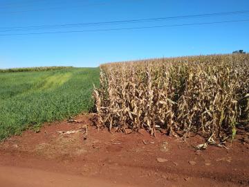 imagem 2 - Rural - Chácara sem Casa imagem 2 - Rural - Chácara sem Casa